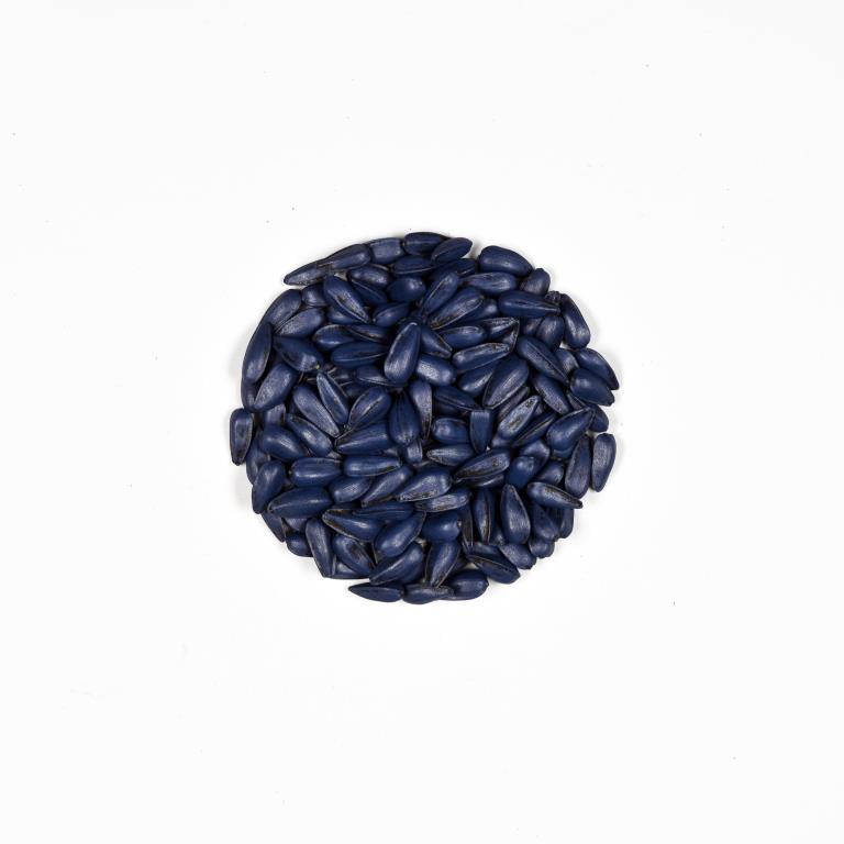 Disco Blue L-1523