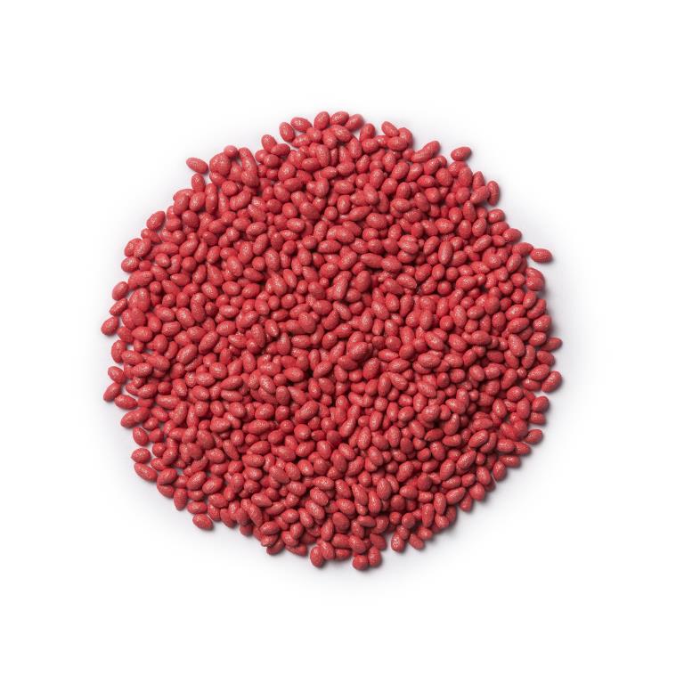 SanoKote Special 2.25 Witloof