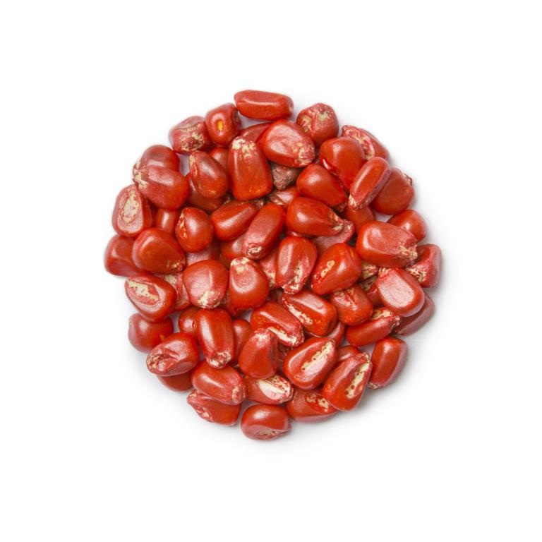 Disco AG Red L-432 GeniusCoat