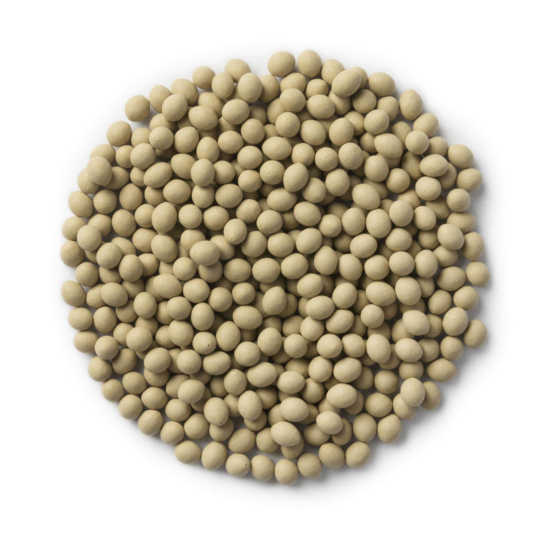 organic pelleted and primed lettuce seed