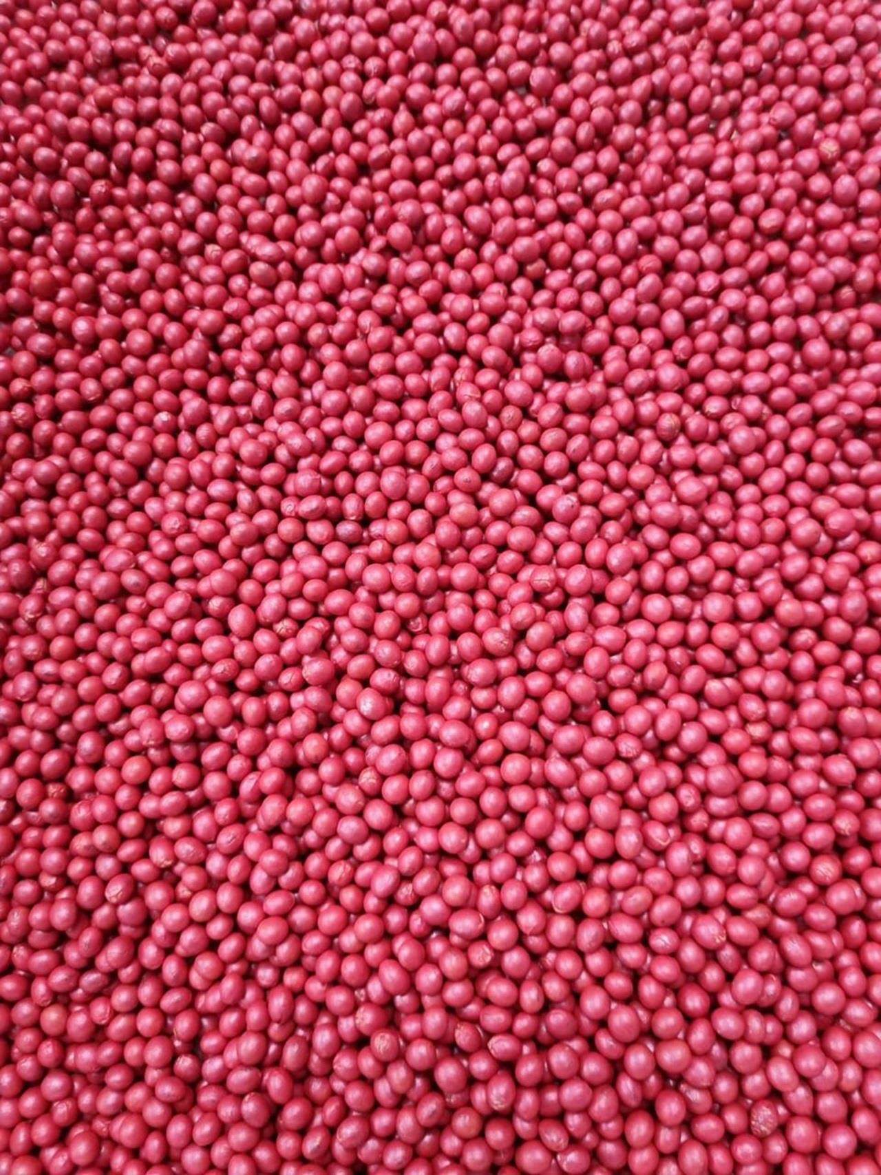 Film coated soybean seed