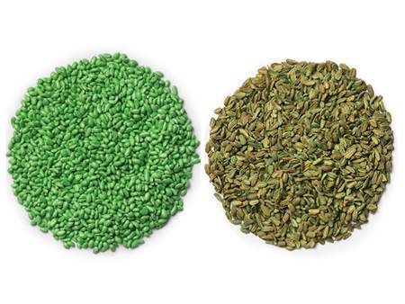 Two circles of carrot seeds. One is encrusted with Incotec's OnX the other is untrated