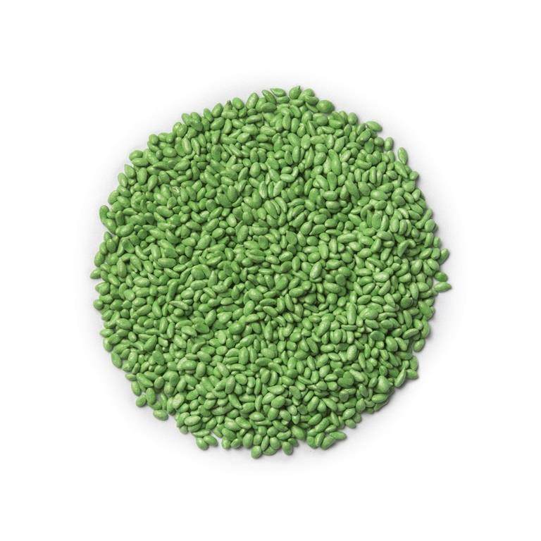 Carrot seed encrusted and primed