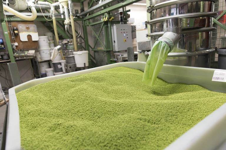 green coated seeds
