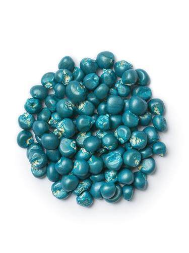 Disco Ag L-950 Corn