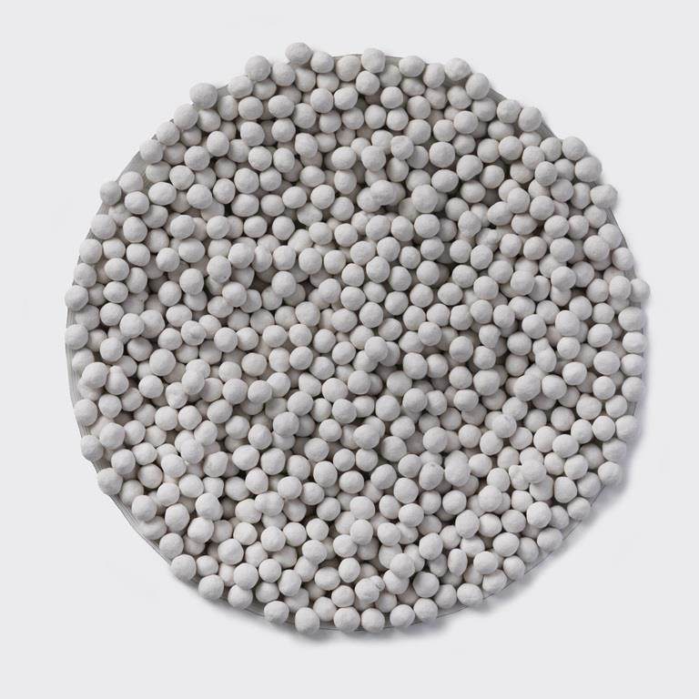 pelleted true potato seed