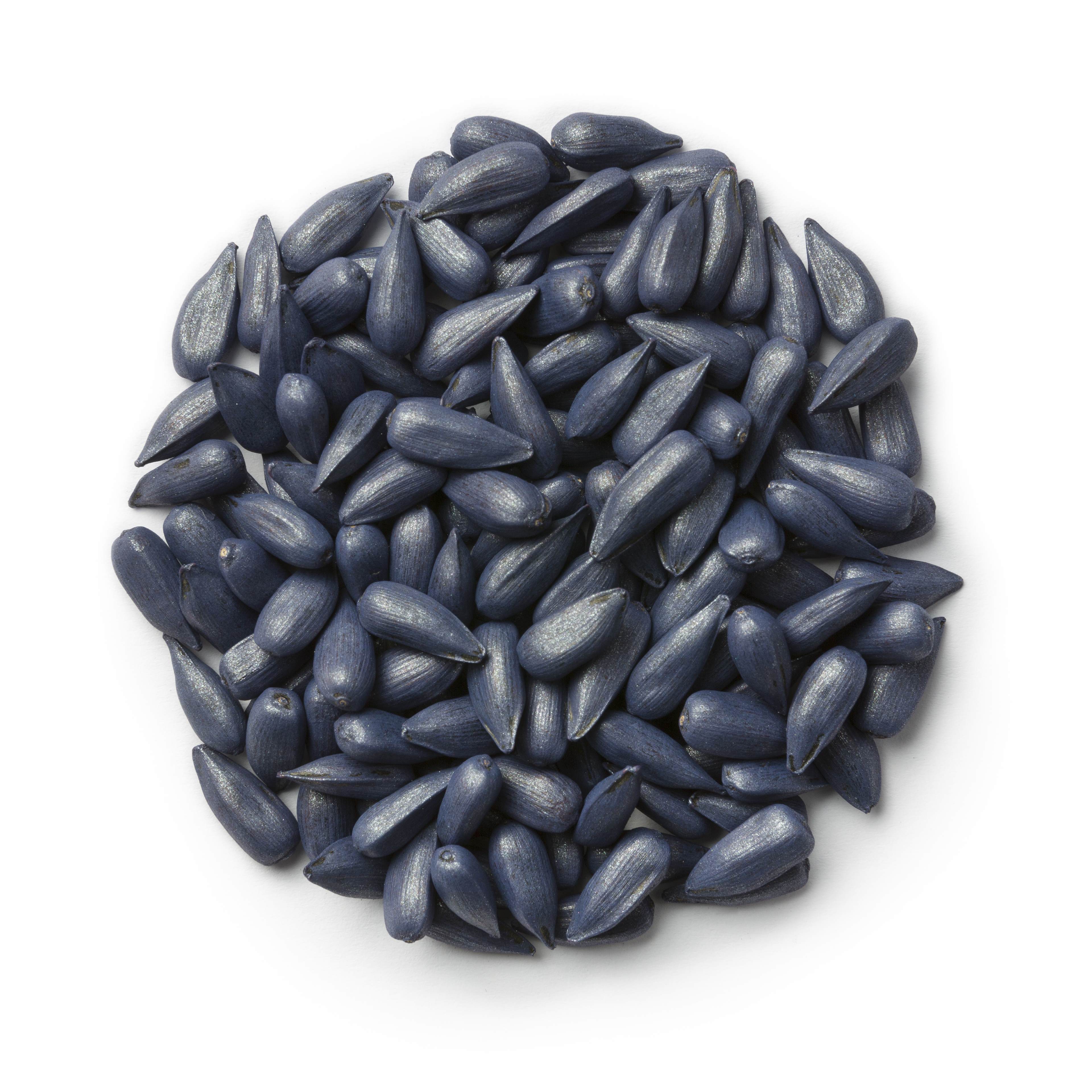 coated sunflower seeds