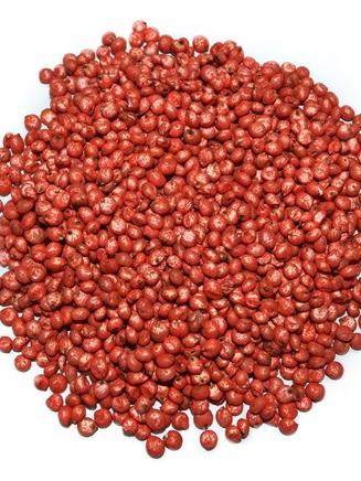 Seed coated with Incotec Disco L-144 film coat