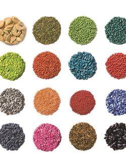 seeds coated with different coloured seed coatings