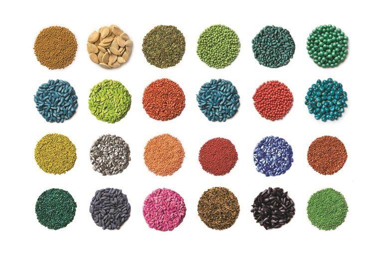 seeds coated with different coloured seed coatings