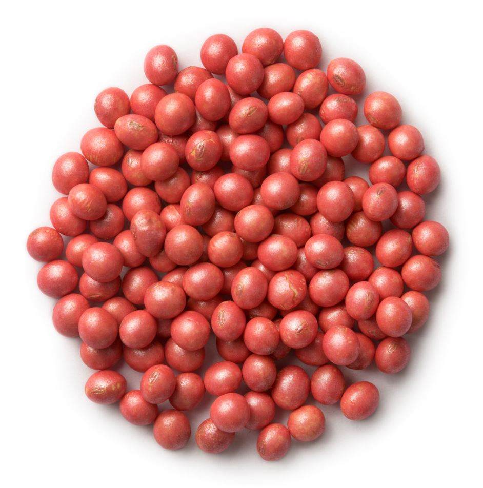 Soybean coated with Incotec's film coat