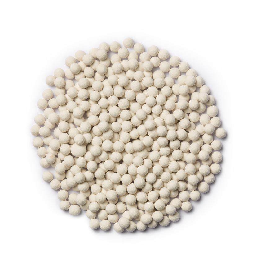 Rootstock tomato seeds treated with Incotec's Split Pill Special Light 