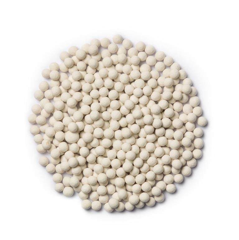 Rootstock tomato seeds treated with Incotec's Split Pill Special Light