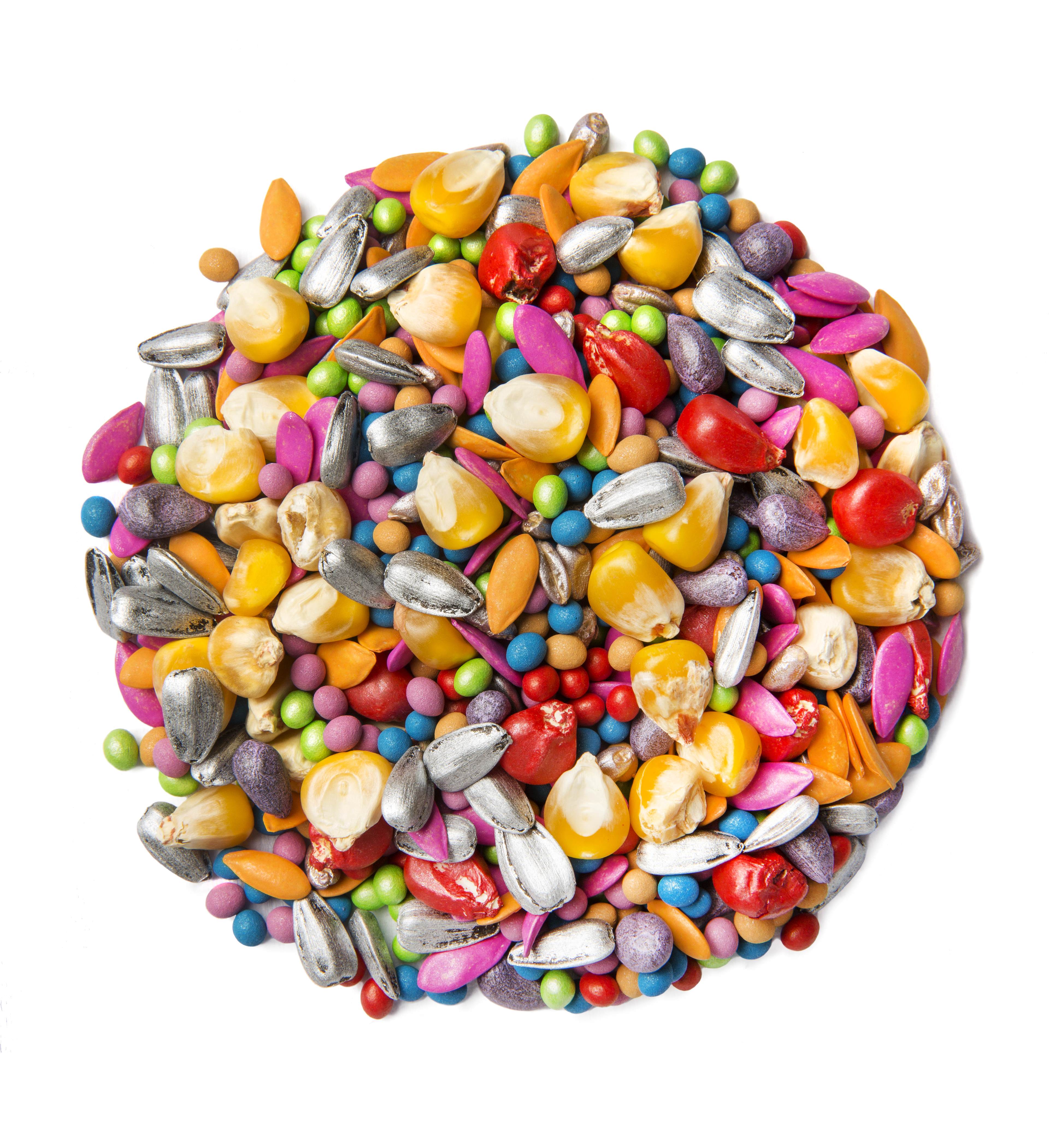 Seed Enhancement - Specialists in Seed Technology | Incotec