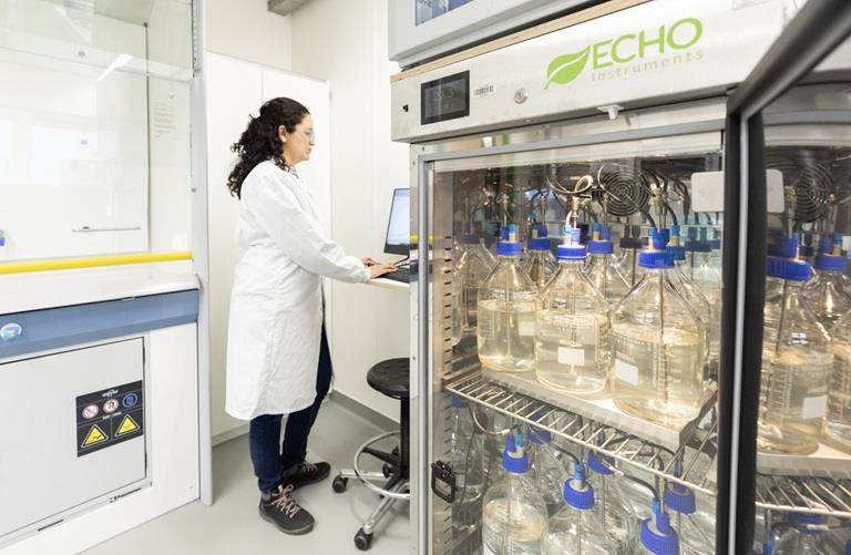 Técnico de laboratorio en el laboratorio de tecnología de semillas de Incotec
