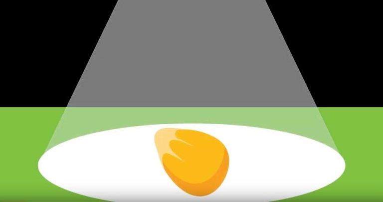 Film coating animation