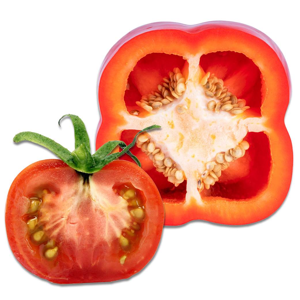 Tomato and bell pepper on Incotec leaflet  on disease resistance markers