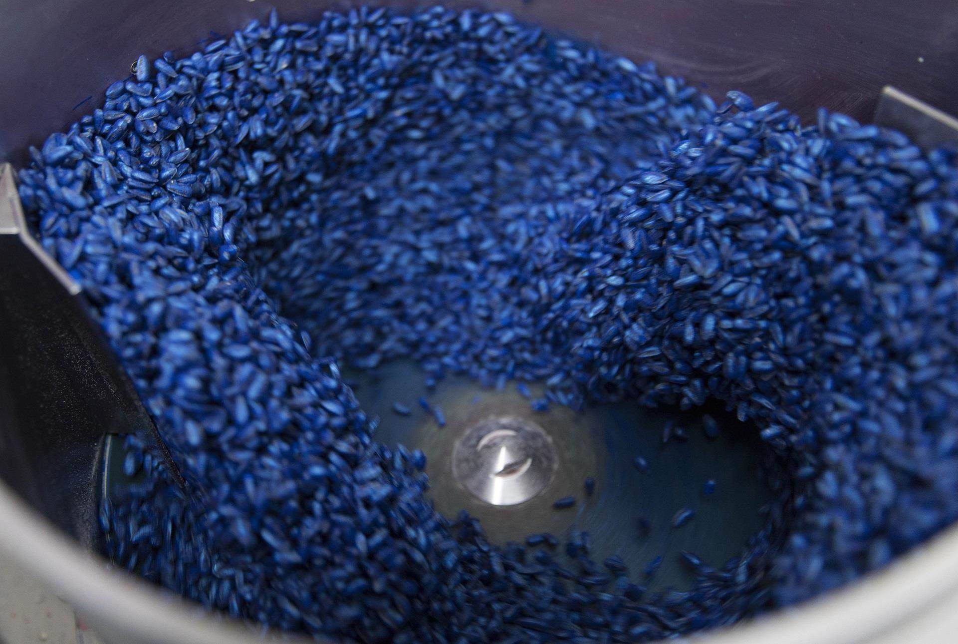 seeds being encrusted