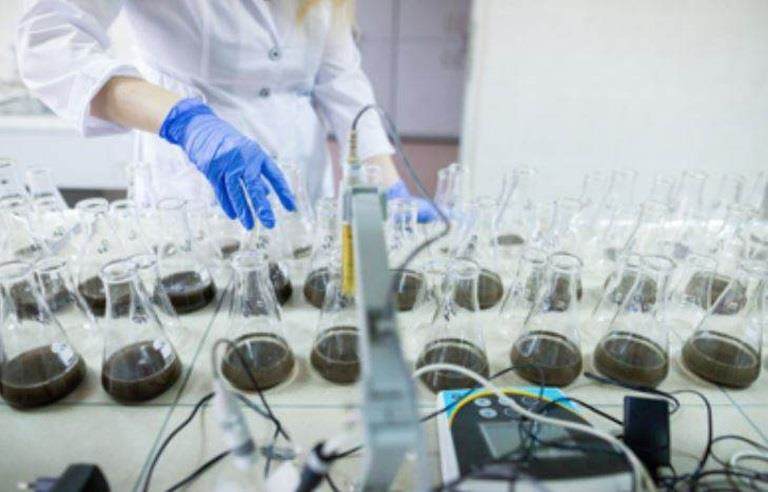 labwork