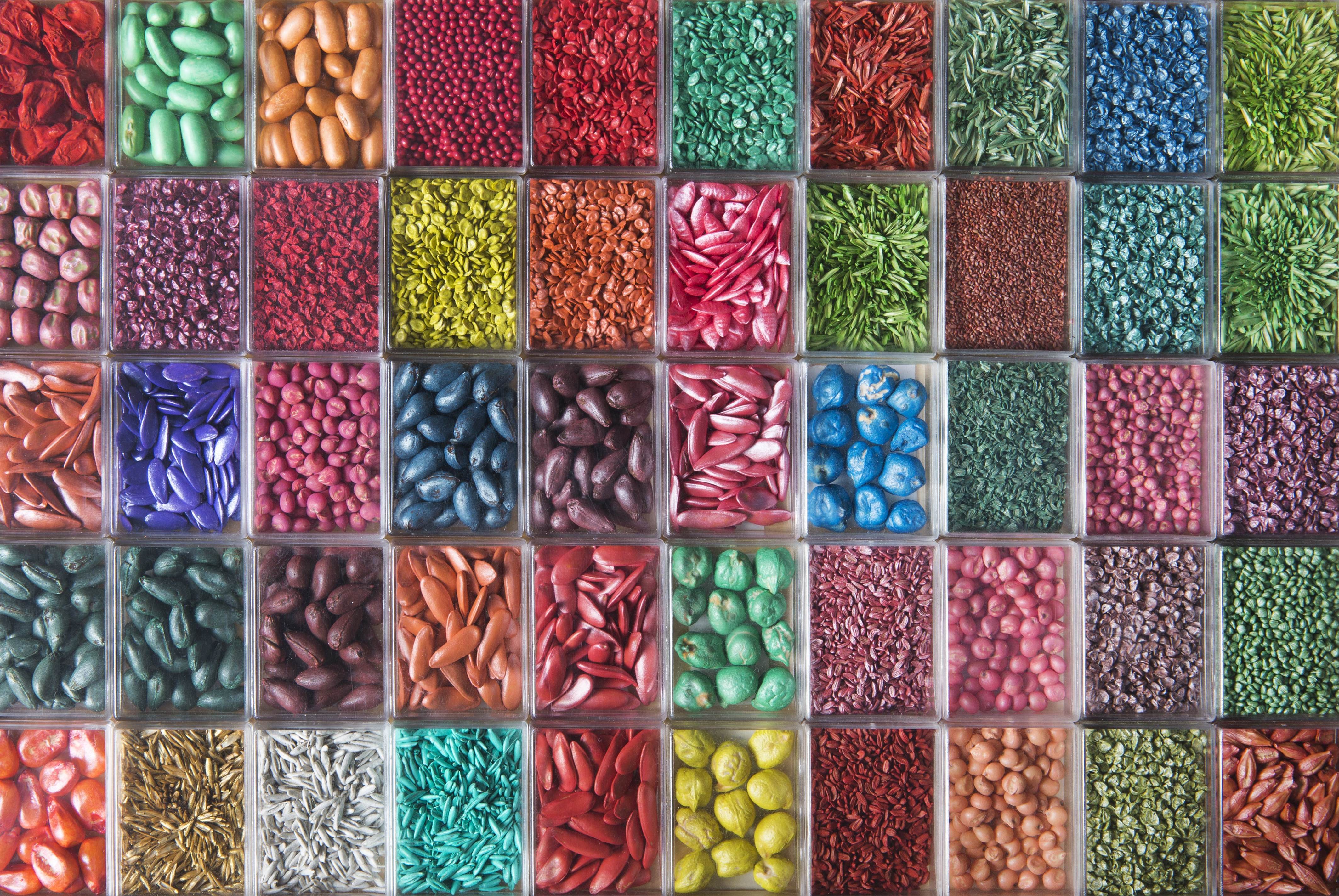 várias sementes com revestimentos Incotec coloridos