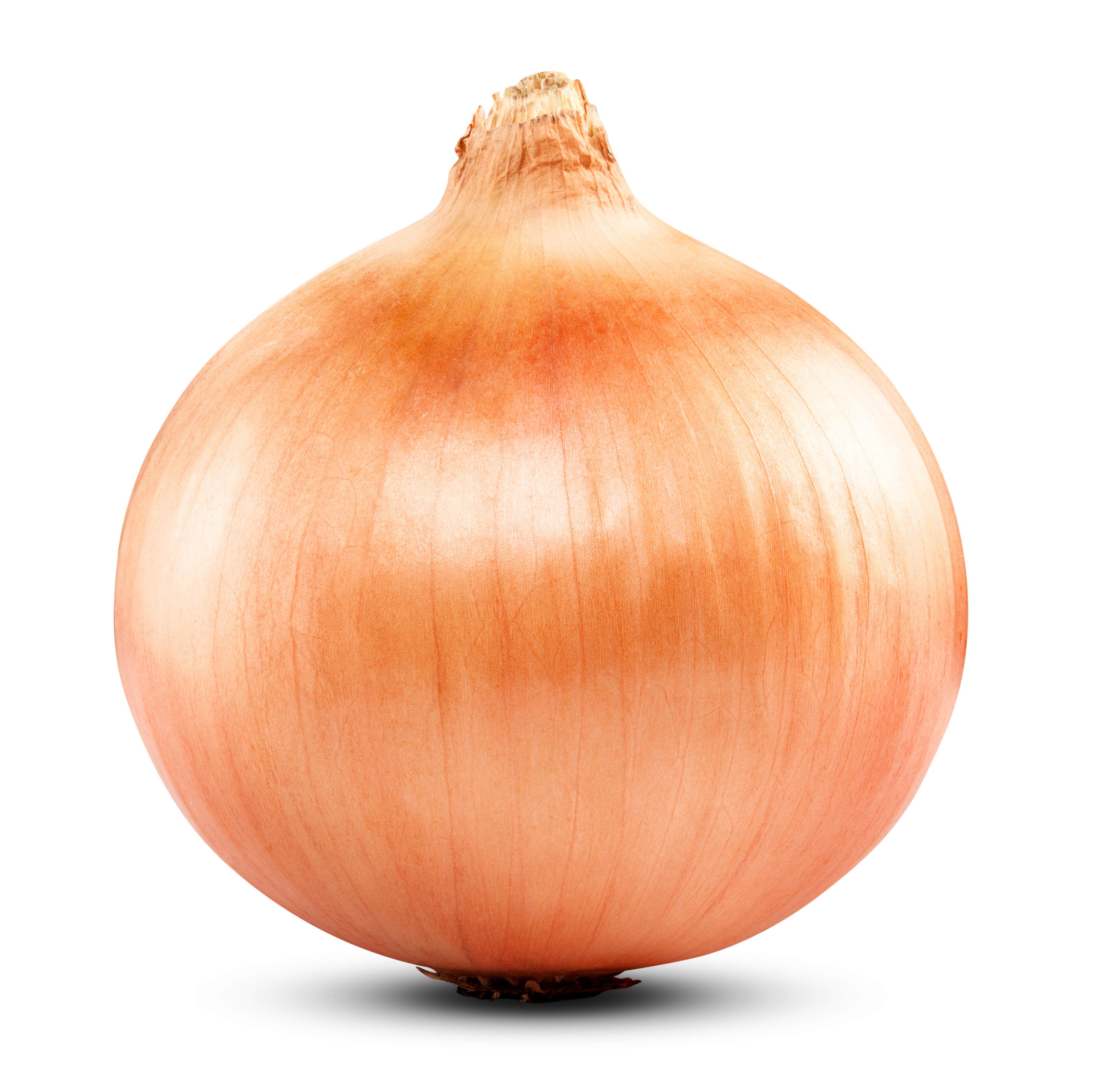 An onion