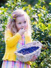 Girl eating blueberries