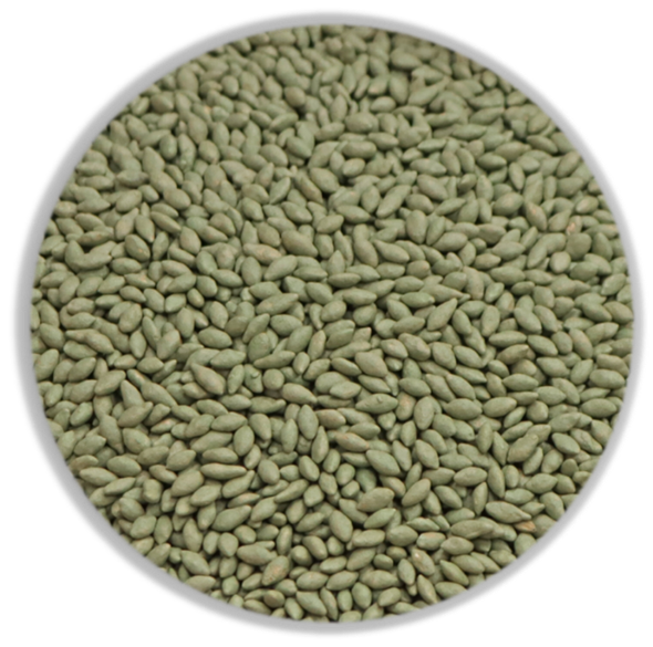 Encrusted seeds