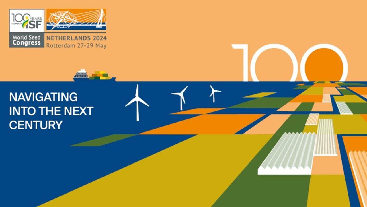 Dutch fields and windmill