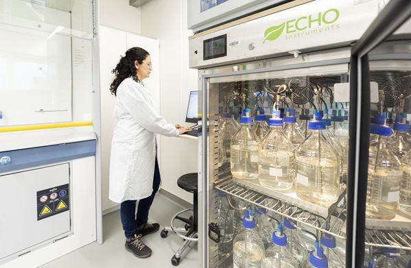 Lab technician at work in the Incotec lab