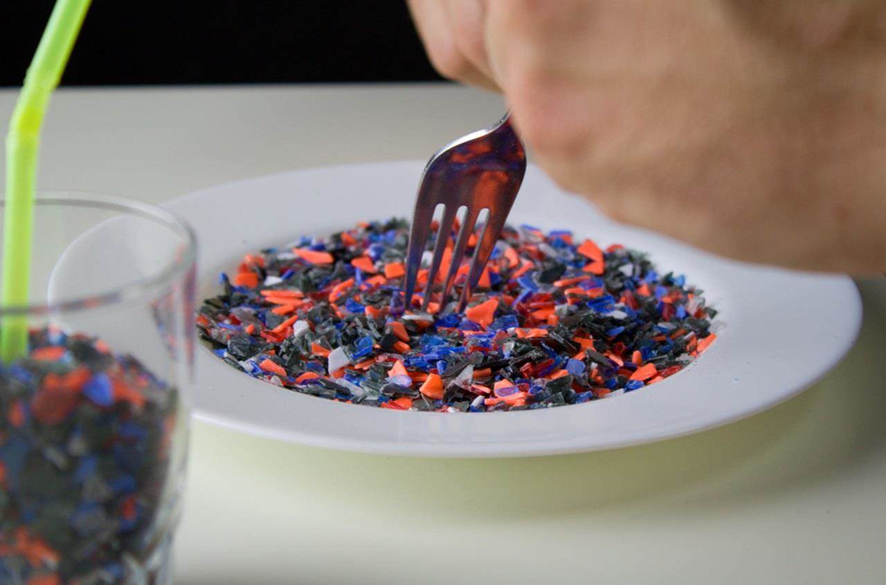 a plate full of tiny particles of plastic
