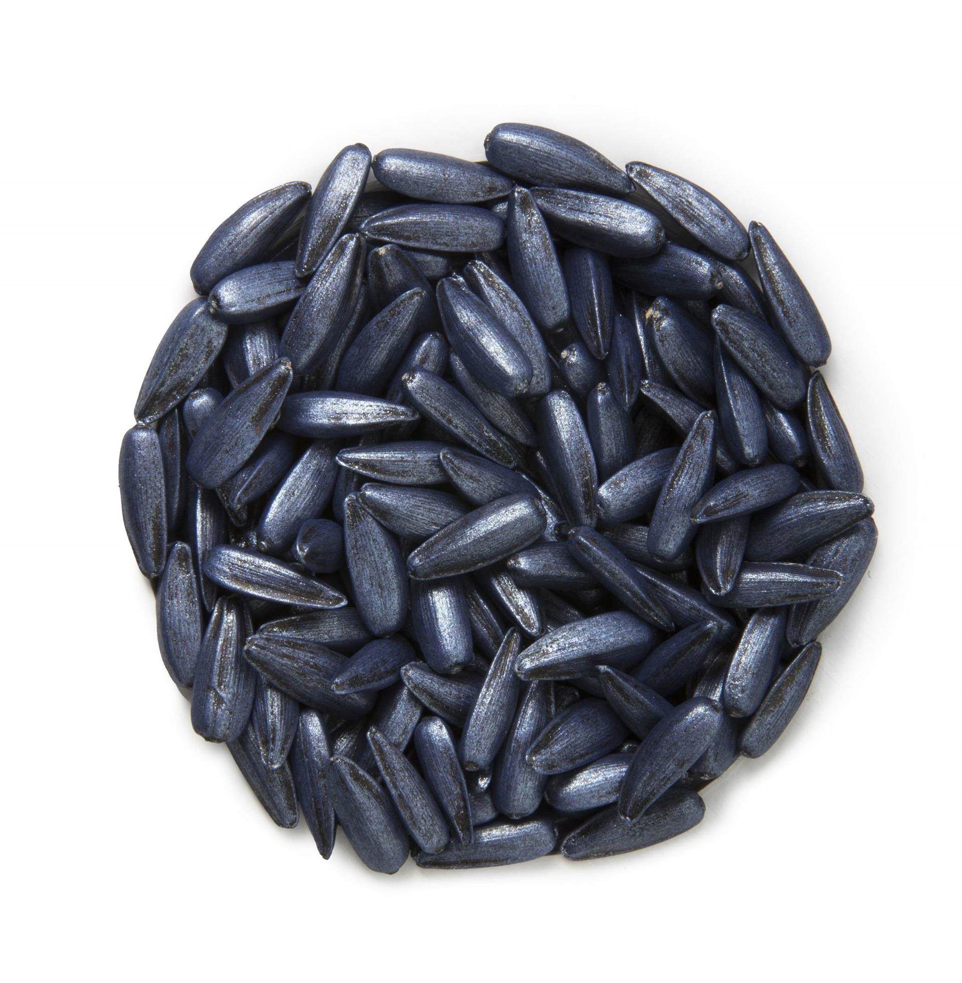 Coated sunflower seed