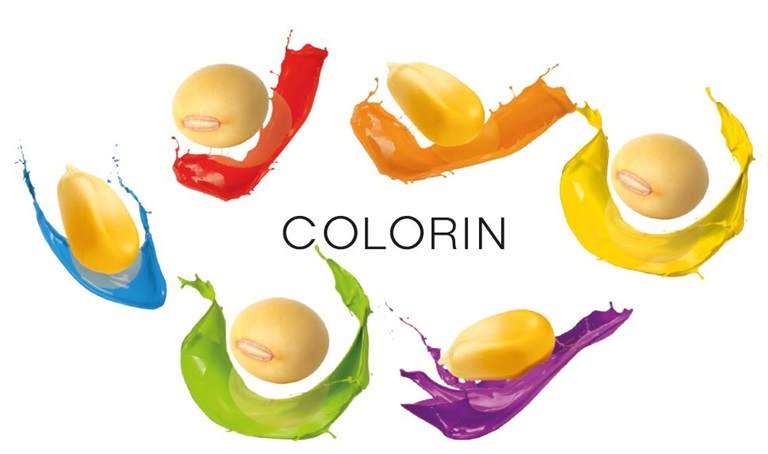 ColorIn pigment for seed film coating