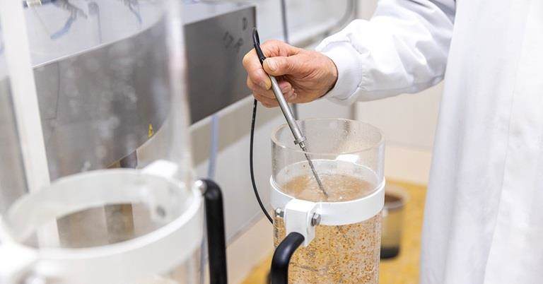 Pre- germinación de semillas en el laboratorio Incotec