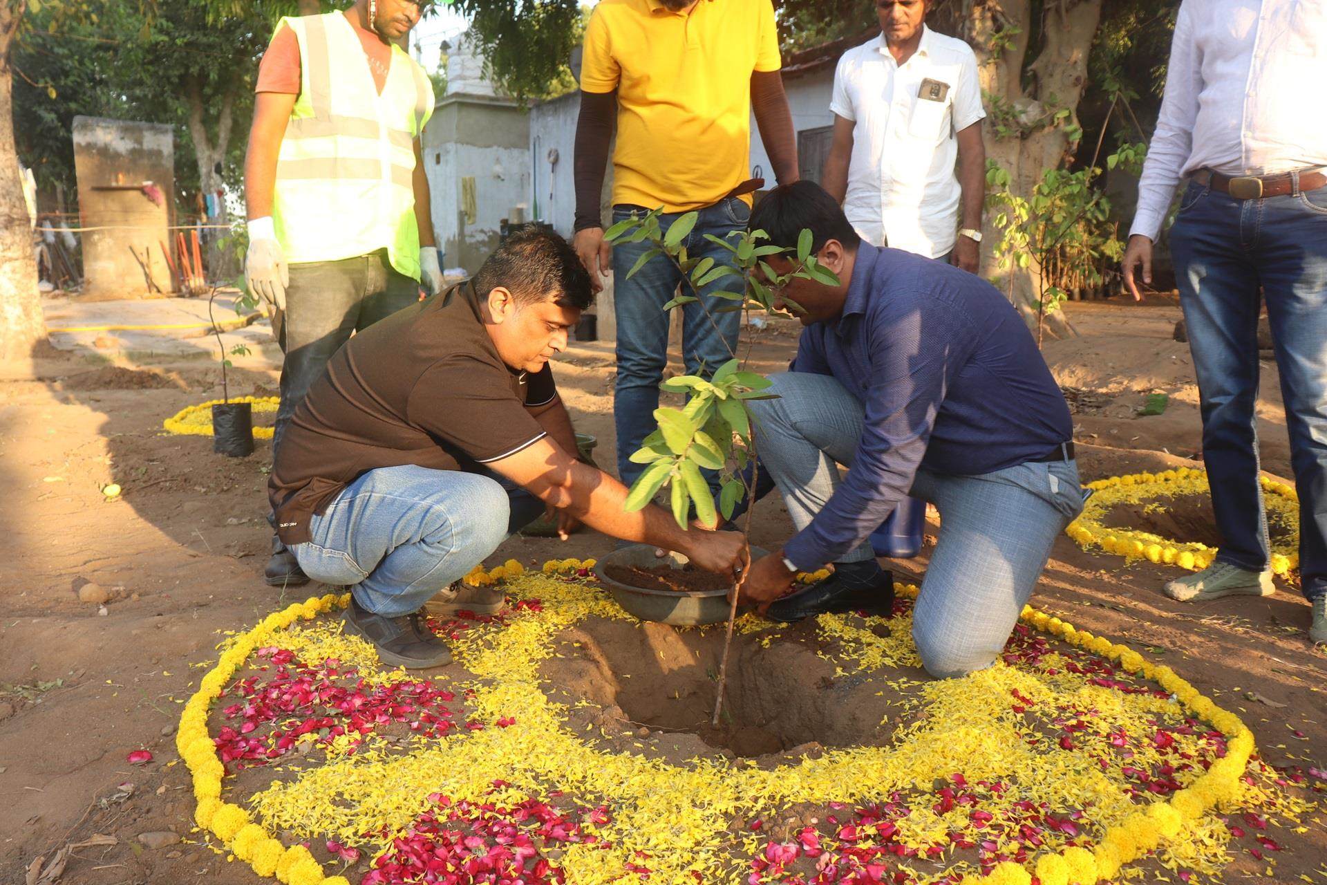 Personeel van Incotec India planten bomen om 20 jaar jubileum te vieren