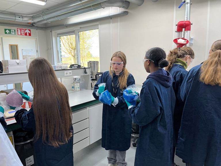 Leerlingen mogen hun eigen zonnebloemzaden film coaten tijdens een bezoek aan Incotec voor Girls' Day