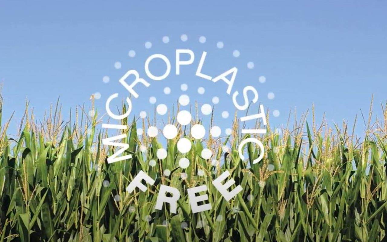 Corn field and Incotec's microplastic-free seed coatings logo
