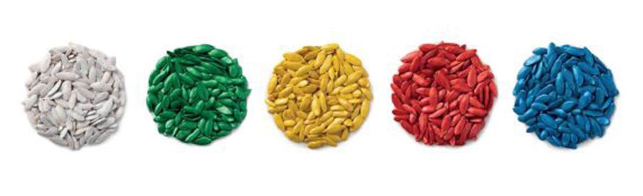 Seeds coated with Incotec's quality film coats in five vibrant colours