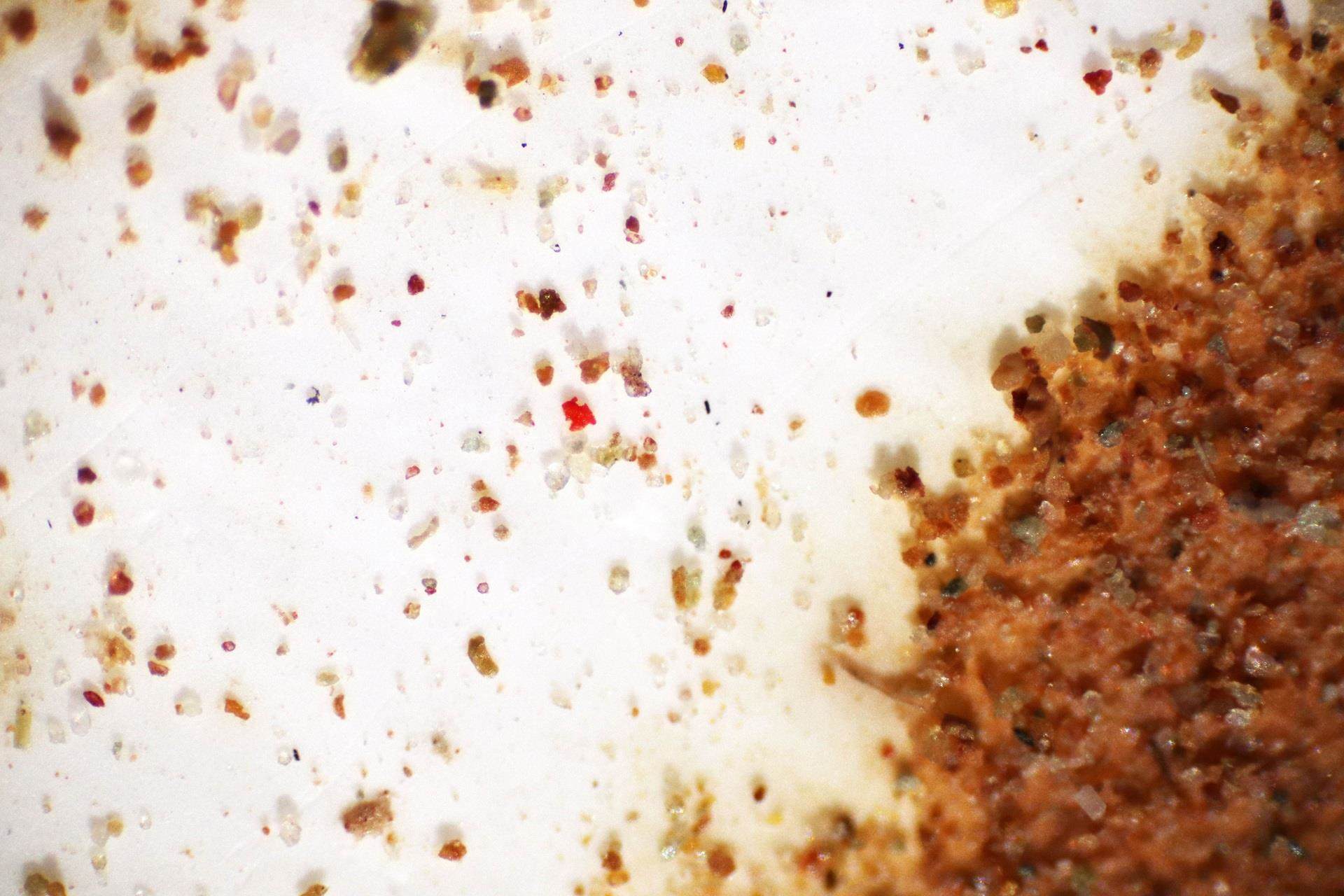 small plastic particles