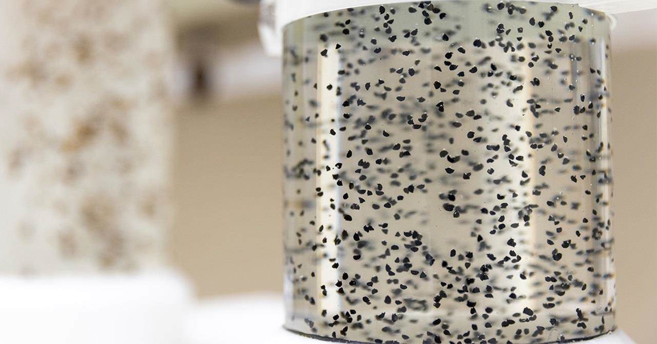 Semences dans le liquide pendant le processus de priming