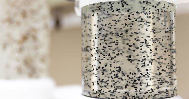 Zaden in vloeistof tijdens primingproces