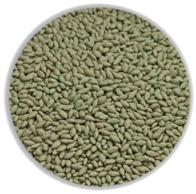 Sementes incrustadas