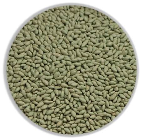 Green encrusted seeds