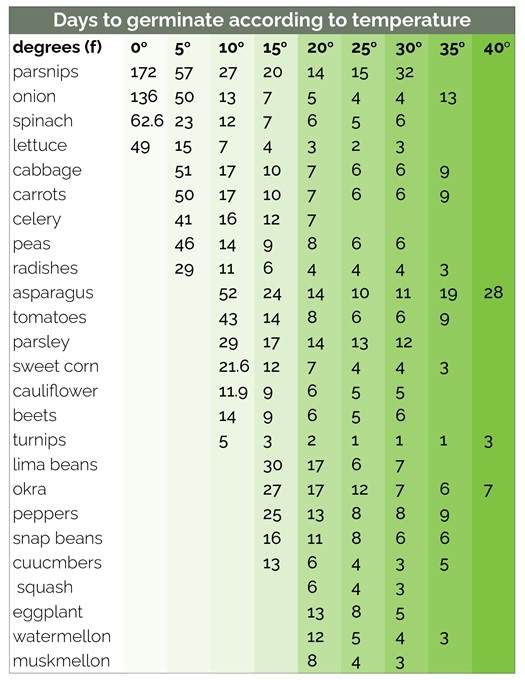 Gráfico que muestra los días que tarda el cultivo en germinar a diferentes temperaturas.
