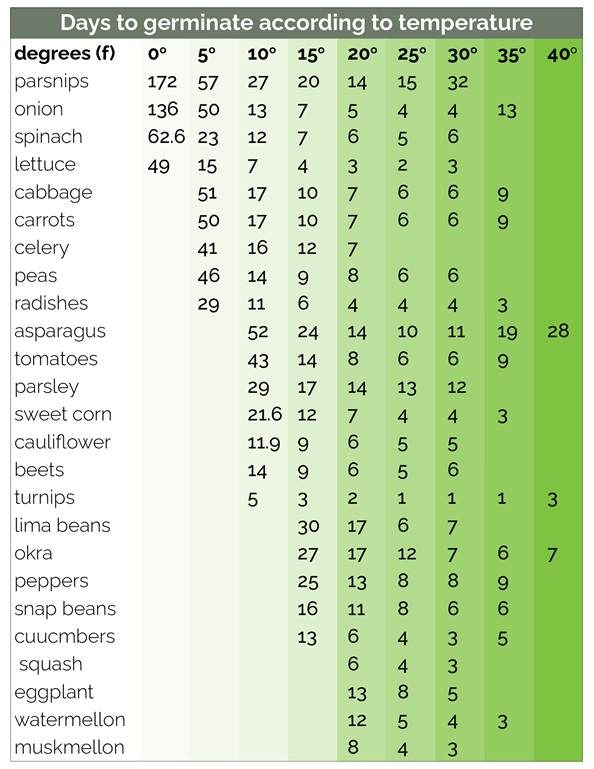Gráfico mostrando os dias de germinação da cultura em diferentes temperaturas