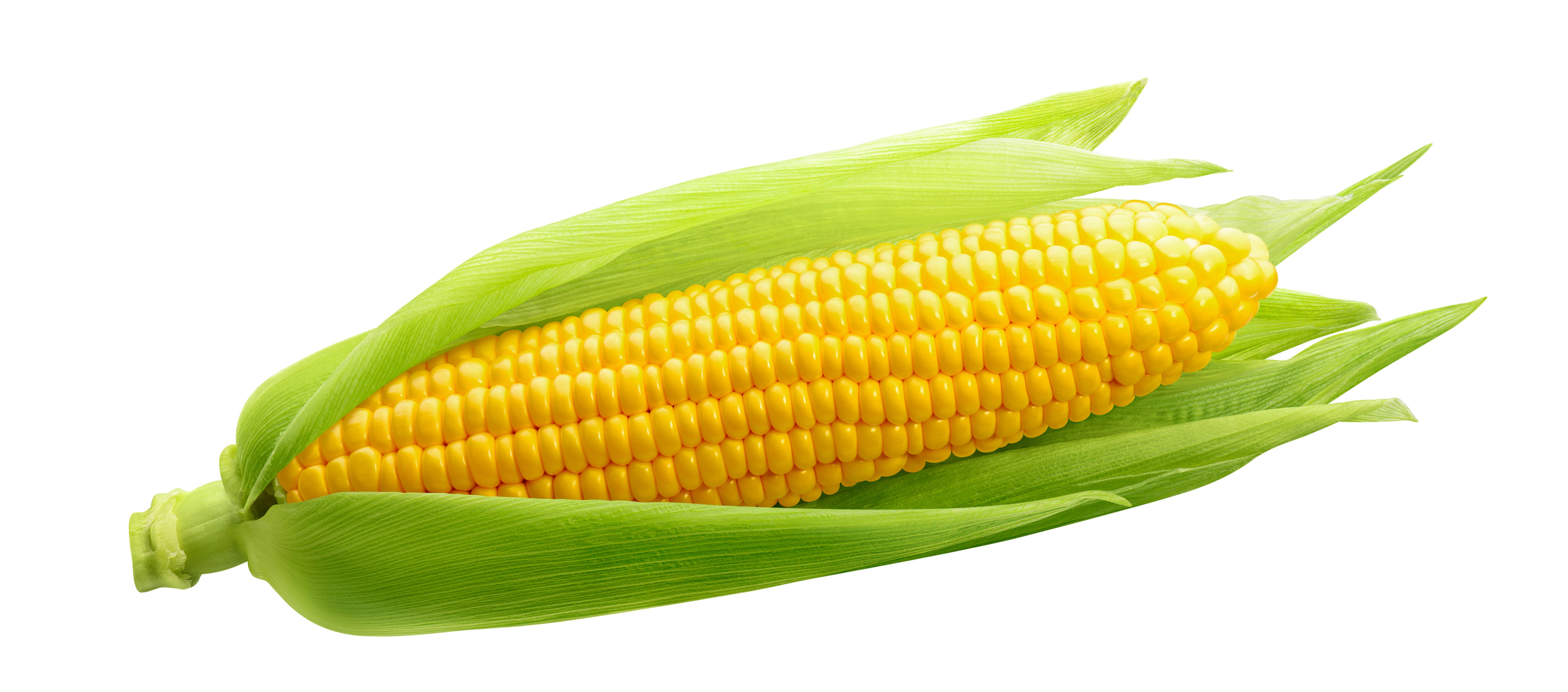 Sweetcorn maiskolf