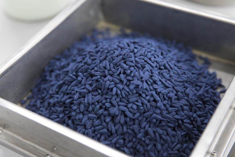 Encrusted blue sunflower seed
