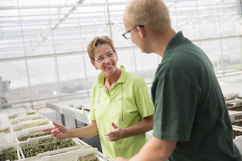 Incotec professionals working on greenhouse trials