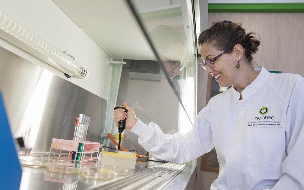 Incotec chemist in lab